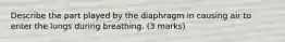 Describe the part played by the diaphragm in causing air to enter the lungs during breathing. (3 marks)