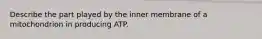 Describe the part played by the inner membrane of a mitochondrion in producing ATP.