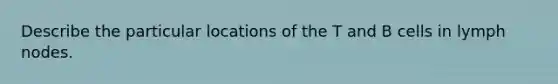 Describe the particular locations of the T and B cells in lymph nodes.