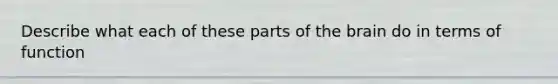 Describe what each of these parts of the brain do in terms of function