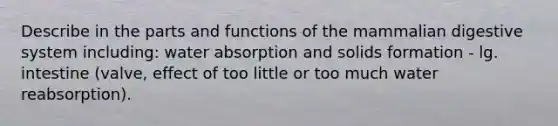 Describe in the parts and functions of the mammalian digestive system including: water absorption and solids formation - lg. intestine (valve, effect of too little or too much water reabsorption).