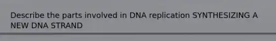 Describe the parts involved in DNA replication SYNTHESIZING A NEW DNA STRAND