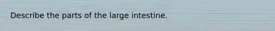 Describe the parts of the large intestine.