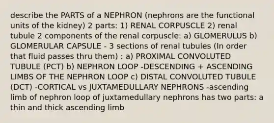 describe the PARTS of a NEPHRON (nephrons are the functional units of the kidney) 2 parts: 1) RENAL CORPUSCLE 2) renal tubule 2 components of the renal corpuscle: a) GLOMERULUS b) GLOMERULAR CAPSULE - 3 sections of renal tubules (In order that fluid passes thru them) : a) PROXIMAL CONVOLUTED TUBULE (PCT) b) NEPHRON LOOP -DESCENDING + ASCENDING LIMBS OF THE NEPHRON LOOP c) DISTAL CONVOLUTED TUBULE (DCT) -CORTICAL vs JUXTAMEDULLARY NEPHRONS -ascending limb of nephron loop of juxtamedullary nephrons has two parts: a thin and thick ascending limb