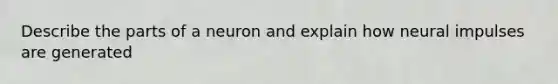 Describe the parts of a neuron and explain how neural impulses are generated