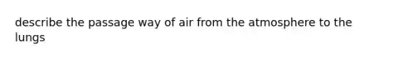 describe the passage way of air from the atmosphere to the lungs