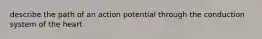 describe the path of an action potential through the conduction system of the heart