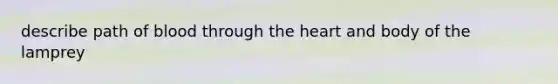 describe path of blood through <a href='https://www.questionai.com/knowledge/kya8ocqc6o-the-heart' class='anchor-knowledge'>the heart</a> and body of the lamprey