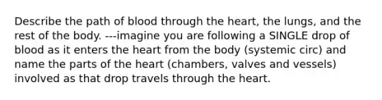 Describe the path of blood through the heart, the lungs, and the rest of the body. ---imagine you are following a SINGLE drop of blood as it enters the heart from the body (systemic circ) and name the parts of the heart (chambers, valves and vessels) involved as that drop travels through the heart.