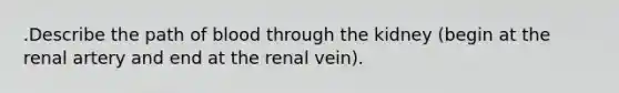 .Describe the path of blood through the kidney (begin at the renal artery and end at the renal vein).