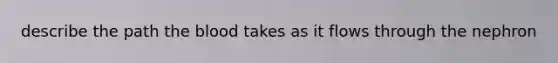 describe the path the blood takes as it flows through the nephron