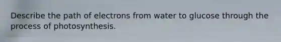 Describe the path of electrons from water to glucose through the process of photosynthesis.