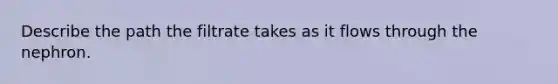 Describe the path the filtrate takes as it flows through the nephron.