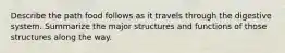 Describe the path food follows as it travels through the digestive system. Summarize the major structures and functions of those structures along the way.