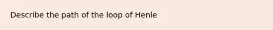 Describe the path of the loop of Henle