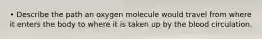 • Describe the path an oxygen molecule would travel from where it enters the body to where it is taken up by the blood circulation.