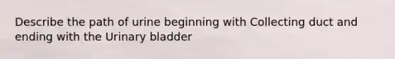 Describe the path of urine beginning with Collecting duct and ending with the <a href='https://www.questionai.com/knowledge/kb9SdfFdD9-urinary-bladder' class='anchor-knowledge'>urinary bladder</a>