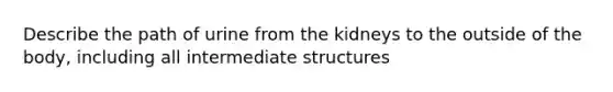 Describe the path of urine from the kidneys to the outside of the body, including all intermediate structures