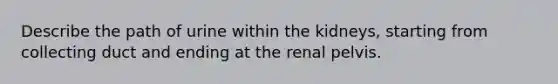 Describe the path of urine within the kidneys, starting from collecting duct and ending at the renal pelvis.