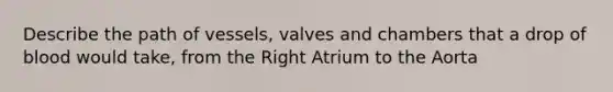 Describe the path of vessels, valves and chambers that a drop of blood would take, from the Right Atrium to the Aorta