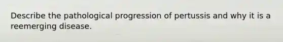 Describe the pathological progression of pertussis and why it is a reemerging disease.