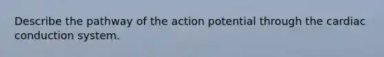 Describe the pathway of the action potential through the cardiac conduction system.