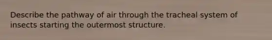 Describe the pathway of air through the tracheal system of insects starting the outermost structure.