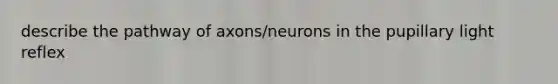 describe the pathway of axons/neurons in the pupillary light reflex