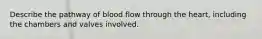 Describe the pathway of blood flow through the heart, including the chambers and valves involved.