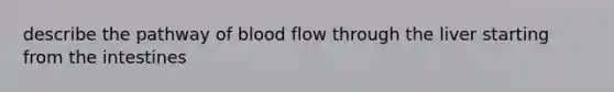 describe the pathway of blood flow through the liver starting from the intestines