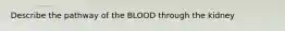 Describe the pathway of the BLOOD through the kidney