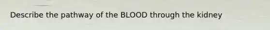 Describe the pathway of <a href='https://www.questionai.com/knowledge/k7oXMfj7lk-the-blood' class='anchor-knowledge'>the blood</a> through the kidney