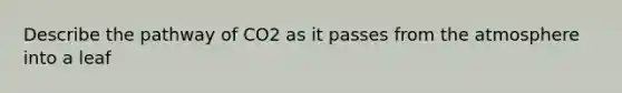 Describe the pathway of CO2 as it passes from the atmosphere into a leaf