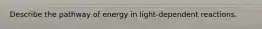 Describe the pathway of energy in light-dependent reactions.