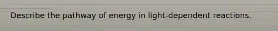 Describe the pathway of energy in light-dependent reactions.