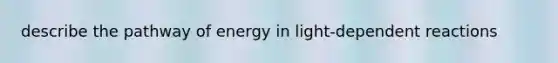 describe the pathway of energy in light-dependent reactions