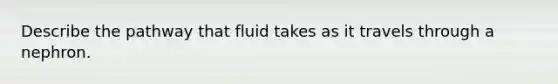 Describe the pathway that fluid takes as it travels through a nephron.