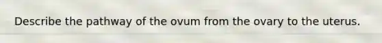 Describe the pathway of the ovum from the ovary to the uterus.