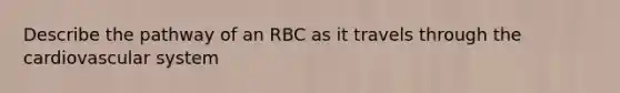 Describe the pathway of an RBC as it travels through the cardiovascular system