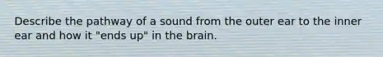 Describe the pathway of a sound from the outer ear to the inner ear and how it "ends up" in the brain.