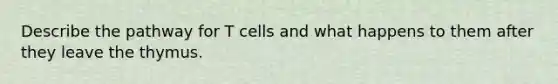 Describe the pathway for T cells and what happens to them after they leave the thymus.