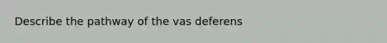 Describe the pathway of the vas deferens