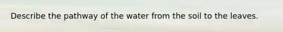 Describe the pathway of the water from the soil to the leaves.