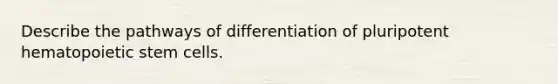 Describe the pathways of differentiation of pluripotent hematopoietic stem cells.