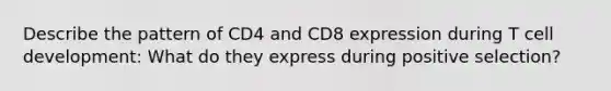 Describe the pattern of CD4 and CD8 expression during T cell development: What do they express during positive selection?