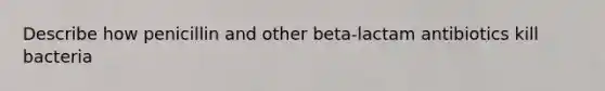 Describe how penicillin and other beta-lactam antibiotics kill bacteria