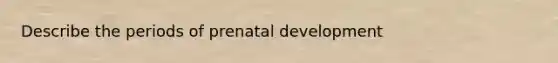 Describe the periods of prenatal development