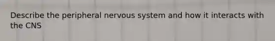 Describe the peripheral nervous system and how it interacts with the CNS