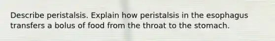 Describe peristalsis. Explain how peristalsis in the esophagus transfers a bolus of food from the throat to the stomach.