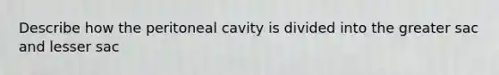 Describe how the peritoneal cavity is divided into the greater sac and lesser sac